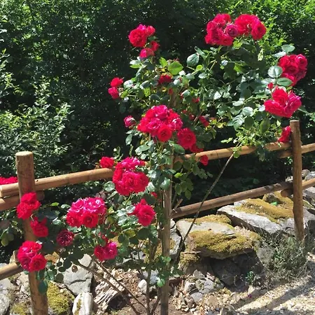 D'hotes Le Lepadou-bas 3* Saint-Chély-dʼAubrac