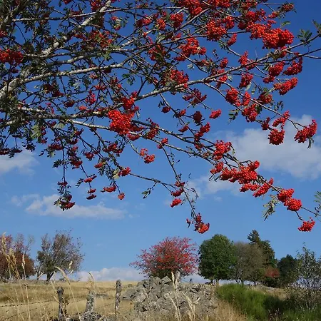 לינה וארוחת בוקר D'hotes Le Lepadou-bas 3*