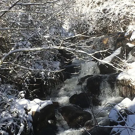 לינה וארוחת בוקר D'hotes Le Lepadou-bas 3*