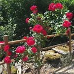 D'hotes Le Lepadou-bas 3* Saint-Chély-dʼAubrac