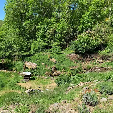 Et Table D'hôtes Le Lepadou-bas Couette-café Saint-Chély-dʼAubrac