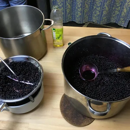 Et Table D'hôtes Le Lepadou-bas