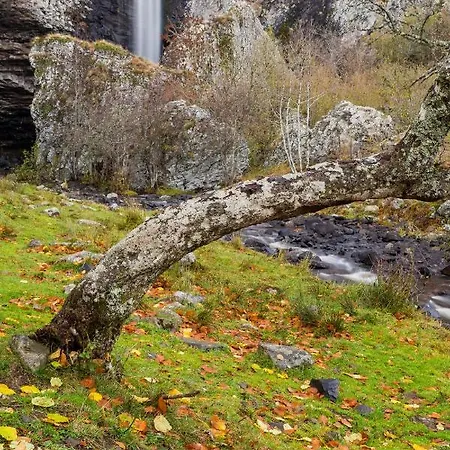 Couette-café Et Table D'hôtes Le Lepadou-bas