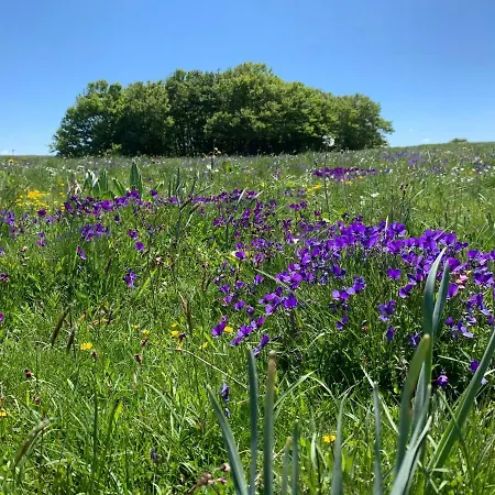 D'hotes Le Lepadou-bas Bed & Breakfast