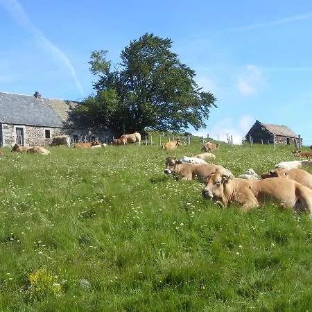 D'hotes Le Lepadou-bas 3*