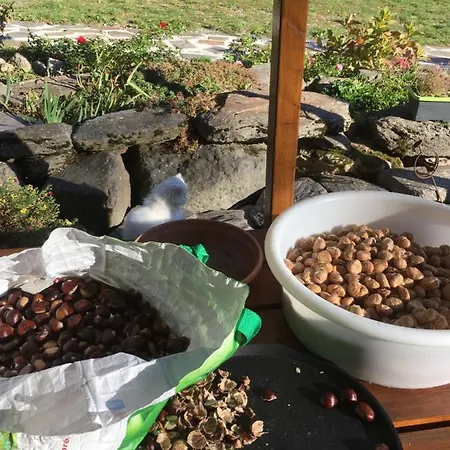 Et Table D'hôtes Le Lepadou-bas 3* Saint-Chély-dʼAubrac
