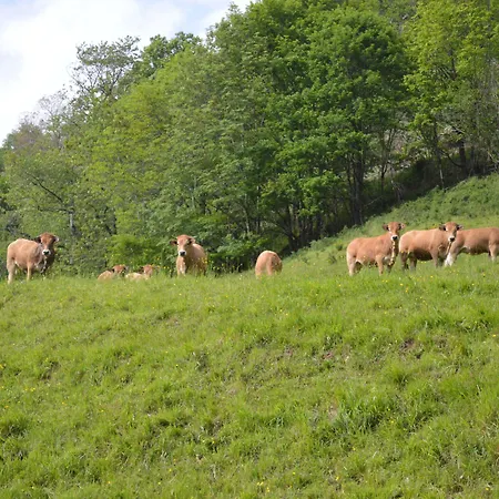 Bed and breakfast D'hotes Le Lepadou-bas Saint-Chély-dʼAubrac