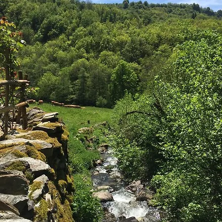 Et Table D'hôtes Le Lepadou-bas Saint-Chély-dʼAubrac