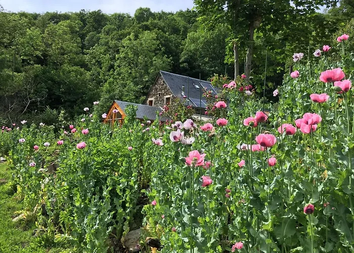 D'hotes Le Lepadou-bas 3* Saint-Chély-dʼAubrac