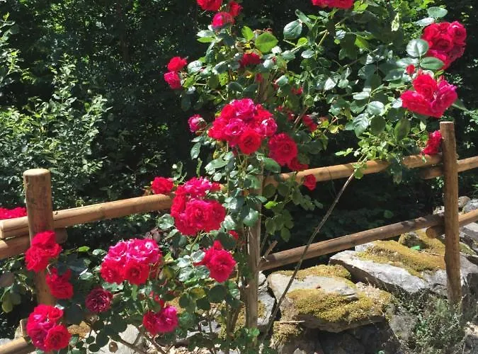 D'hotes Le Lepadou-bas 3* Saint-Chély-dʼAubrac