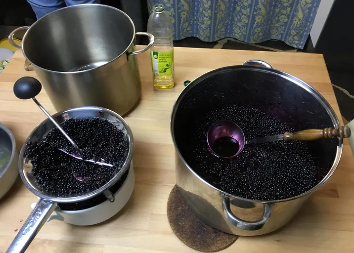 D'hotes Le Lepadou-bas