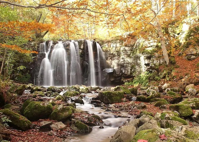 D'hotes Le Lepadou-bas 3* Сен-Шели-д'Обрак