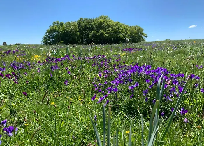D'hotes Le Lepadou-bas Отель типа 