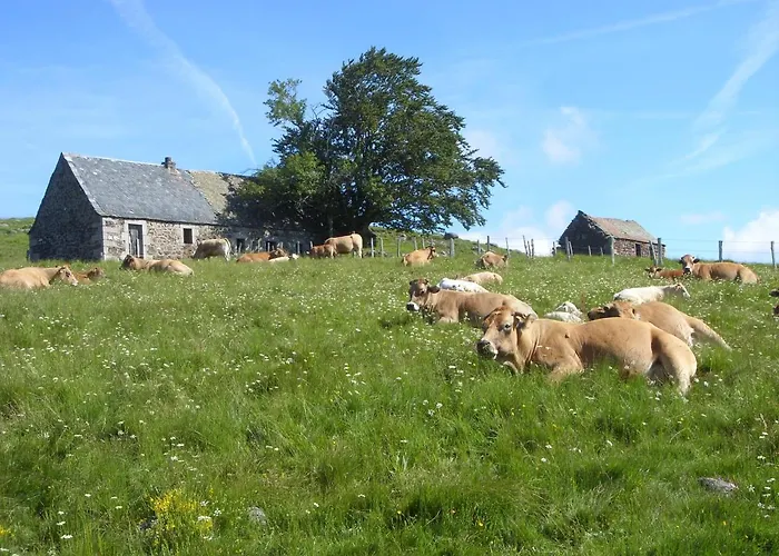 D'hotes Le Lepadou-bas 3*