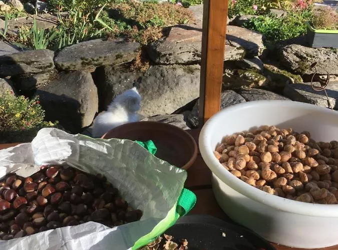 D'hotes Le Lepadou-bas 3* Saint-Chély-dʼAubrac