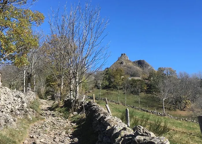 Bed and Breakfast D'hotes Le Lepadou-bas Saint-Chély-dʼAubrac