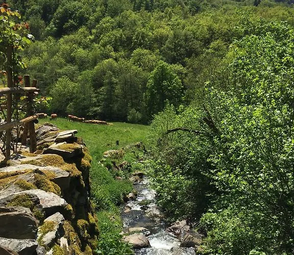 D'hotes Le Lepadou-bas Saint-Chély-dʼAubrac